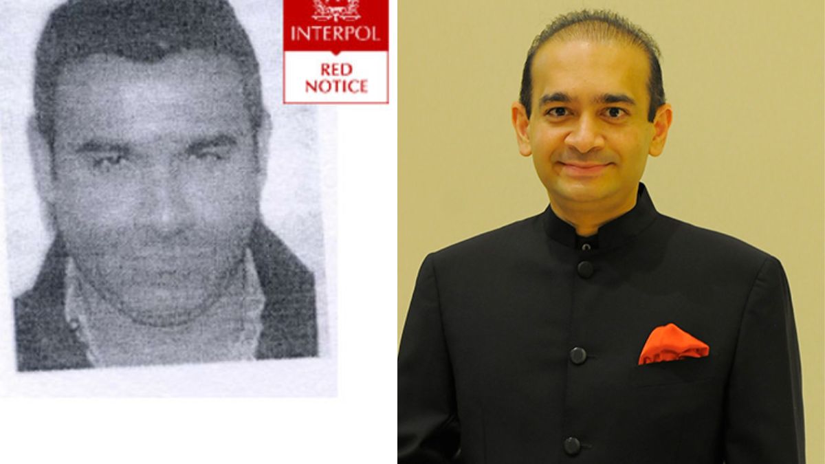 nehal, nirav modi - 1